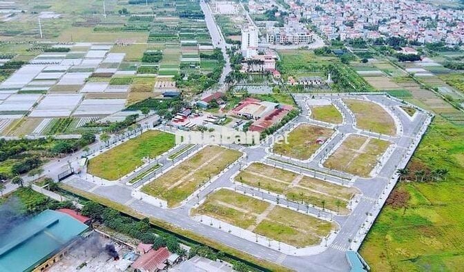 ✅180m2 đất biệt thự TDC Đông Nam Cổ Dương - 3 mặt tiền - mặt đường 23m