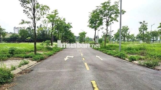 ✅180m2 đất biệt thự TDC Đông Nam Cổ Dương - 3 mặt tiền - mặt đường 23m