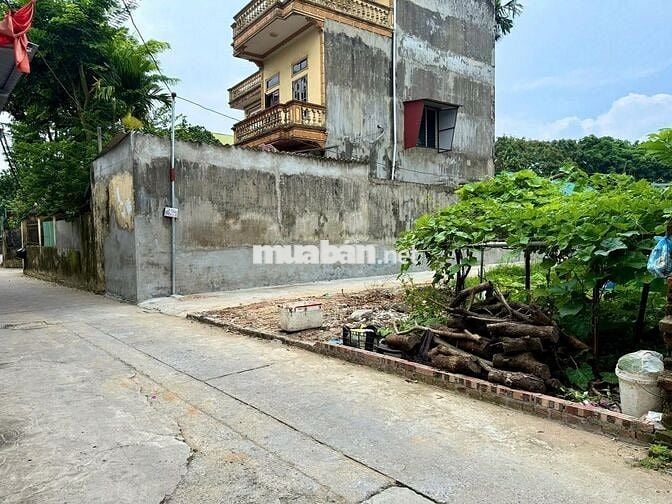Bán đất  Tân Trại – Phú Cường, ngay Ga T1 Nội Bài – Đường ô tô tránh