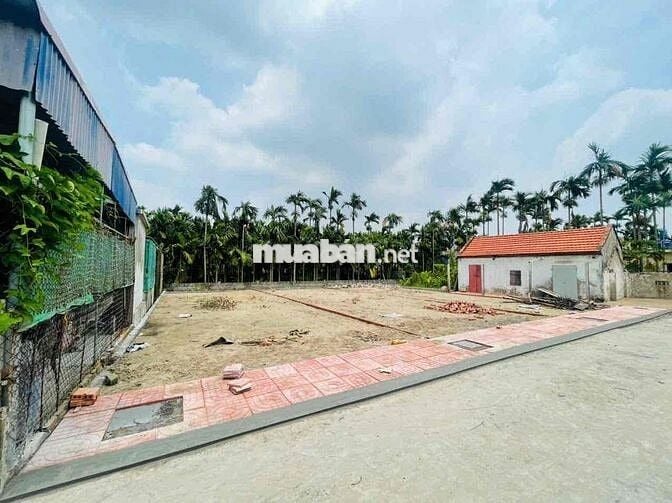 SỐT ĐẤT NỀN KHU CÔNG NGHIỆP VSIP NAM ĐỊNH CHỈ NHỈNH 1TỶ