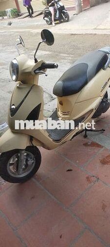 Xe Attila Fi biển vip