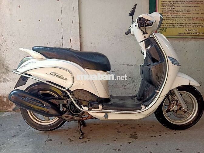Nozza Fi xe đẹp bs tỉnh