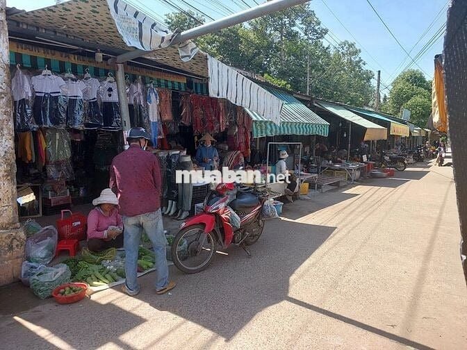 Bán đất sát ngay chợ Minh Thạnh - TP. HCM chỉ 300tr sang tên