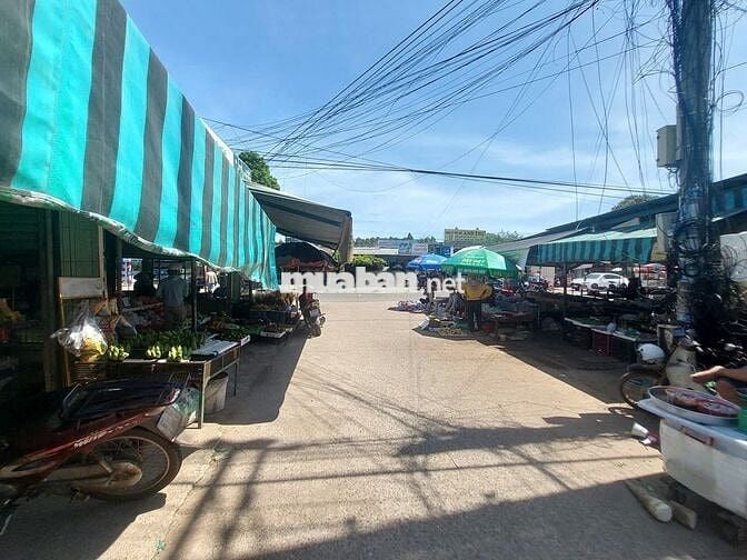 Bán đất sát ngay chợ Minh Thạnh - TP. HCM chỉ 300tr sang tên