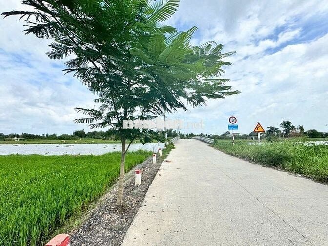 Chậm Tay Là Mất – Đất F0 Sổ Riêng, Mặt Tiền 7m, Sổ Sẵn, Xây Dựng Tự Do