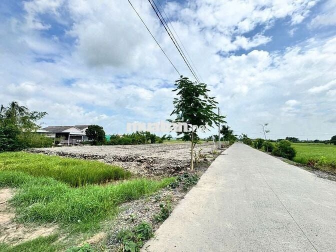 Chậm Tay Là Mất – Đất F0 Sổ Riêng, Mặt Tiền 7m, Sổ Sẵn, Xây Dựng Tự Do