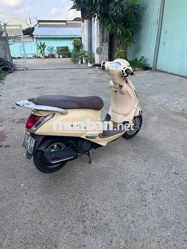 Elizabeth FI Máy Êm Khoẻ Gtdd Chính Chủ