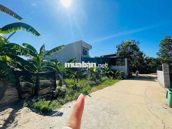 356m có 250m ONT tại Bình Yên, Hoà Lạc.