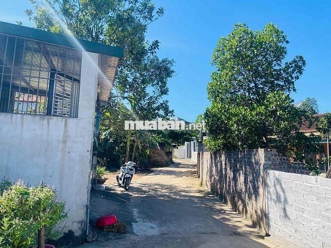 356m có 250m ONT tại Bình Yên, Hoà Lạc.