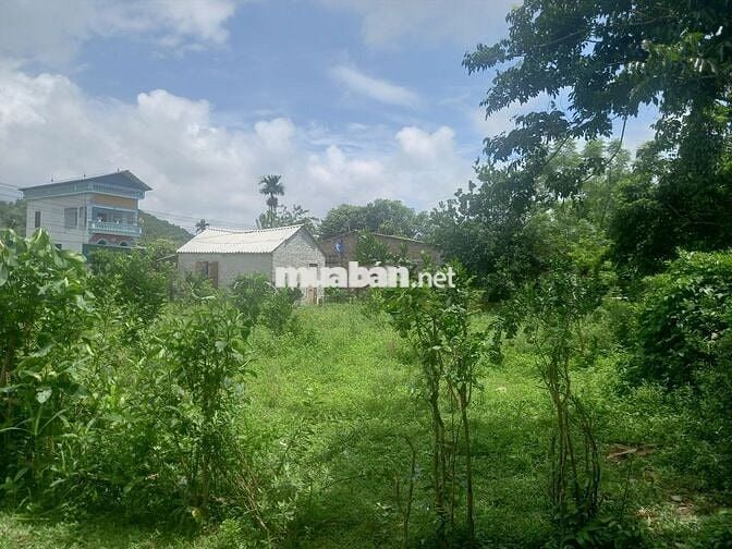 Đất sổ hồng riêng thành phố Đồng Xoài 1000m2 đất vườn