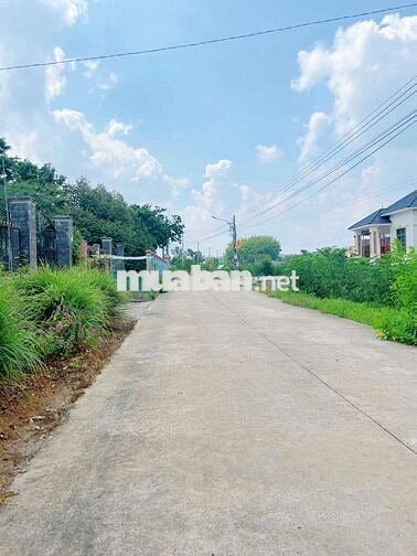 MT ngang 12m, gần 700m² gần KCN để xây trọ