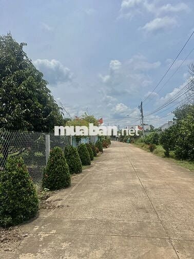 Bán Ngộp Đất Sào 2329m2_ Giá chỉ 980 triệu, Đất thuộc TP HCM mới