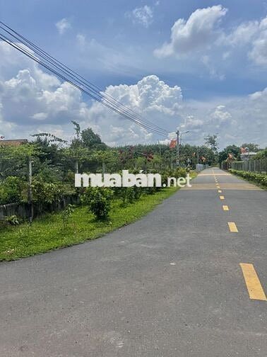 Bán Ngộp Đất Sào 2329m2_ Giá chỉ 980 triệu, Đất thuộc TP HCM mới