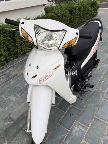 Thanh lý Wave 50cc học sinh không cần bằng lái