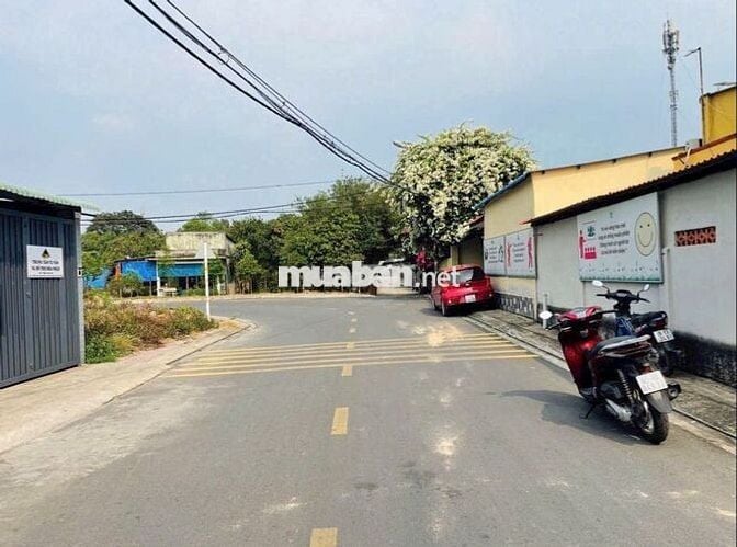 CHỦ NGỘP BÁN LỖ LÔ ĐẤT 490TR/100m2 MT HOÀNG BÁ HUÂN TT CỦ CHI SHR