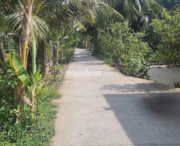 Chính chủ cần bán đất xã Thanh Tân