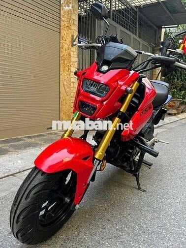 Honda MSX 125 biển tp- Xe lướt đẹp như mới moto