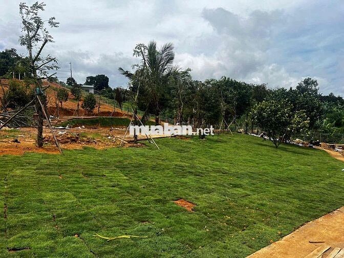 Đất Vườn Bảo Lộc View Đồi – Sổ Sẵn, Giá Cực Tốt!