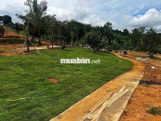 Đất Vườn Bảo Lộc View Đồi – Sổ Sẵn, Giá Cực Tốt!