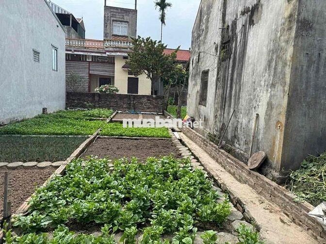 BÁN ĐẤT ĐỒNG MAI HÀ ĐÔNG, 51M2 THUẬN TIỆN BẾN XE YÊN NGHĨA, THANH XUÂN