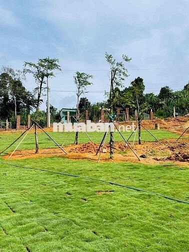 Đất Vườn Bảo Lộc View Đồi – Sổ Sẵn, Giá Cực Tốt!