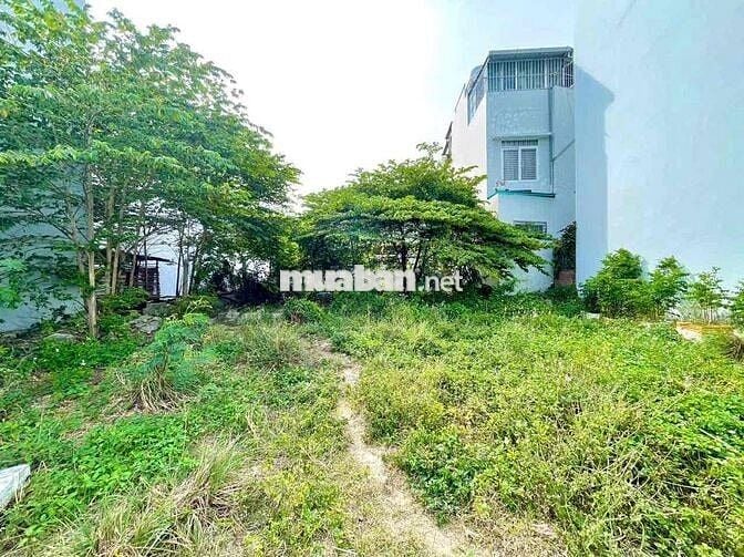 Cần bán đất full thổ cư Vĩnh Ngọc thích hợp xây villa giá tốt
