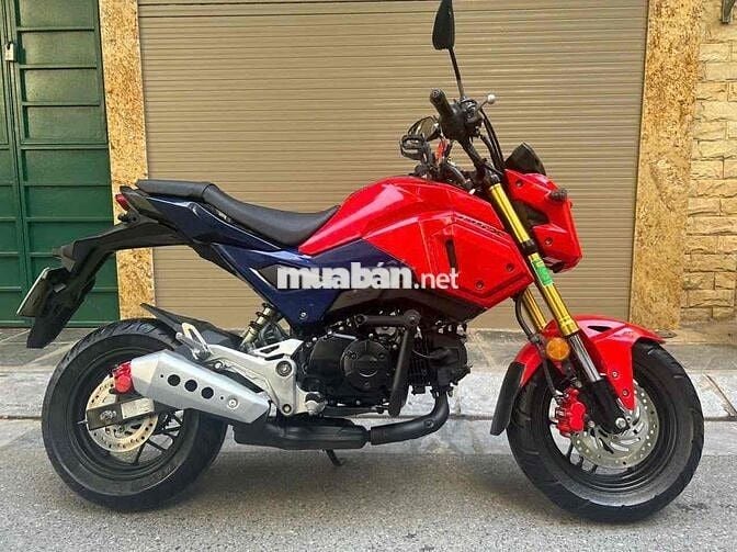 Honda MSX 125 biển tp- Xe lướt đẹp như mới moto