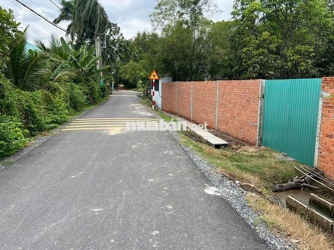 Bán Phước Hiệp Củ Chi Giá dễ tiếp cận 1ty1 Hồ Chí Minh