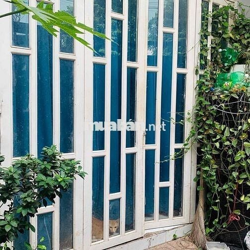 nhà 1trệt1lầu 2pn hẽm xe hơi đường 8pLinh xuânTĐ