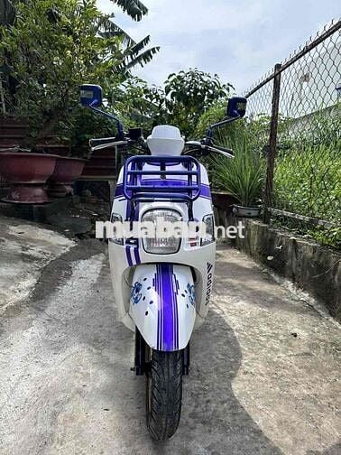 cần bán xe cuũi kiểng
