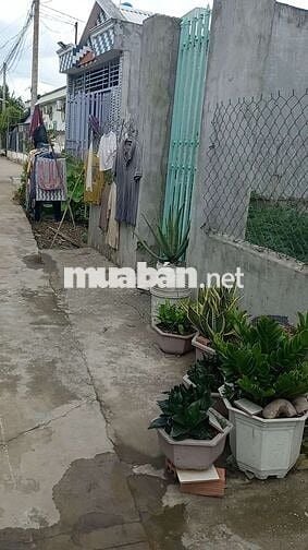 Cần bán đất ngay chợ Mỹ Hạnh Nam