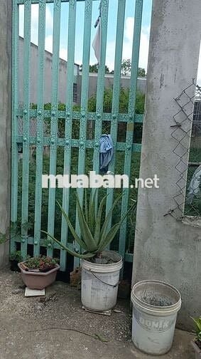 Cần bán đất ngay chợ Mỹ Hạnh Nam