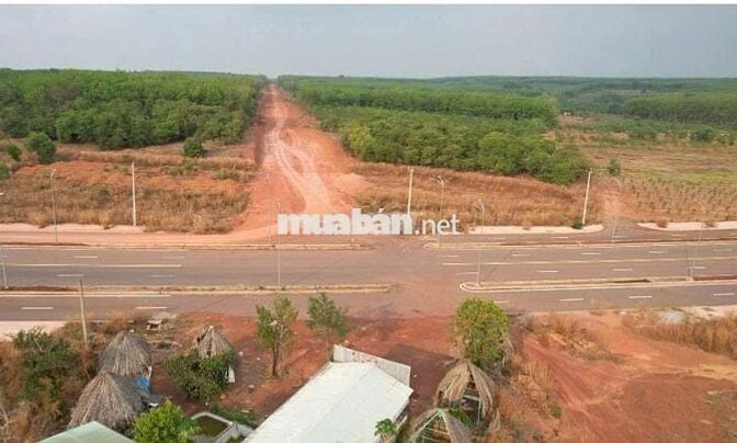 BÁN ĐẤT NỀN MẶT TIỀN ĐƯỜNG XUYÊN TÂM ĐỒNG PHÚ BÌNH PHƯỚC GIÁ CHỈ 300tr