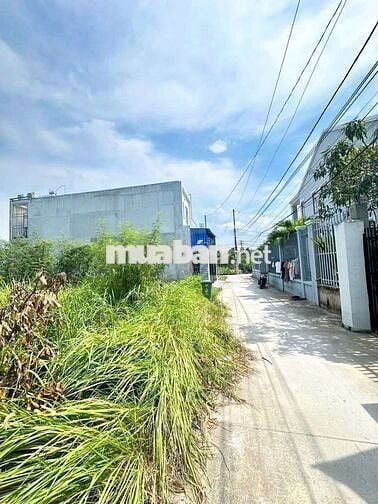 🆘🆘 84m2 ĐẤT THỔ CƯ HẺM XE HƠI GIÁ TỐT XÃ TÂN NHỰT