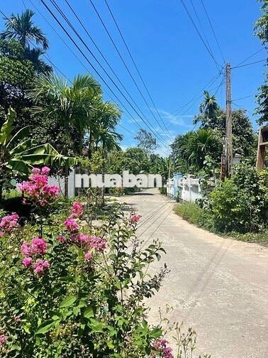 🌟 SIÊU PHẨM ĐẤT 3 MẶT TIỀN – SAU LƯNG CHỢ ĐẠI HIỆP 💰