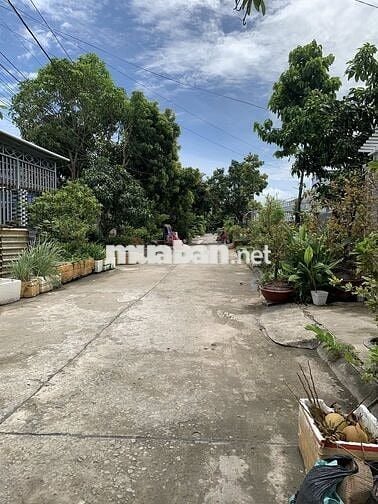 Cần bán gấp căn nhà ở Đ. Trần Văn Chẩm , Củ Chi 100m2 SHR giá 845tr