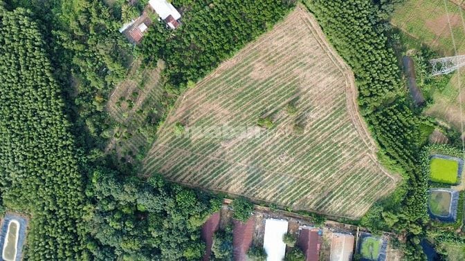CƠ HỘI ĐẦU TƯ TẠI XUÂN THỌ, XUÂN LỘC - GIÁ CHỈ 350TR/SÀO