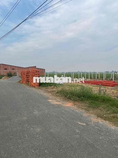 bán gấp đất mặt tiền Nguyễn thị lầu 5x30 750 triệu