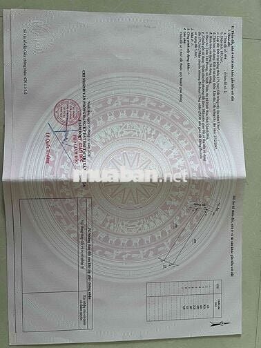 full thổ, đất ninh thân chỉ 299tr ngang 5,5m có sẵn vườn bưởi