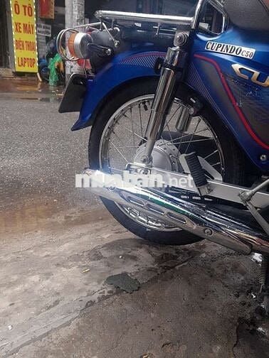 Cup 50cc dành cho các cháu học sinh