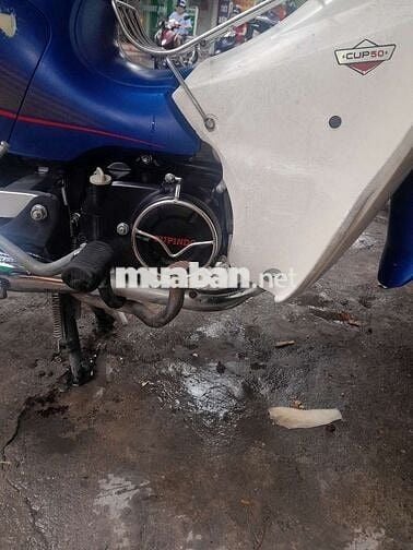 Cup 50cc dành cho các cháu học sinh