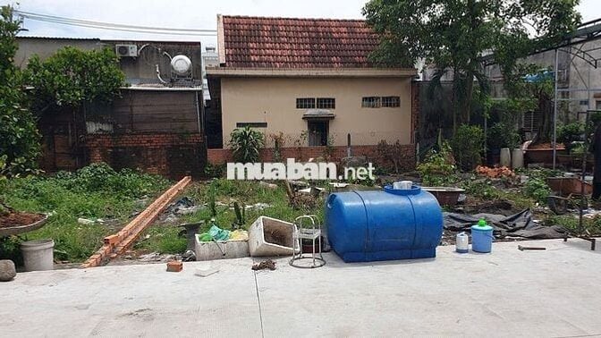 Đất thổ cư 14m x12.5m, gần trường Tam Đông, Thới Tam Thôn, Hóc Môn
