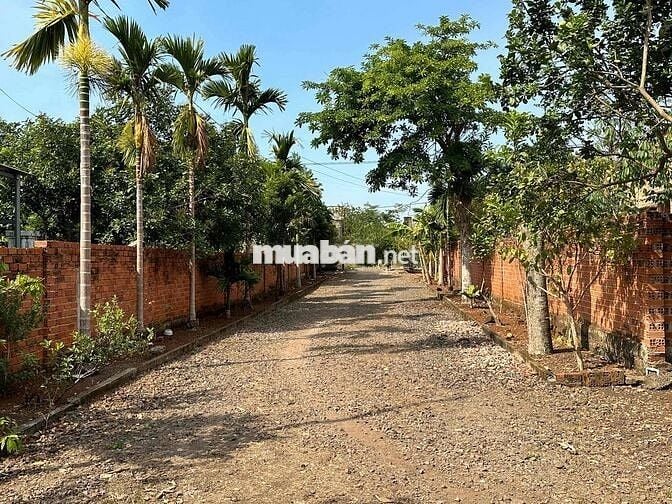 BÁN HƠN 4000m2 ĐẤT Ở SÁT TỈNH LỘ 769