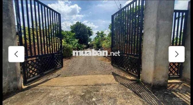 BÁN HƠN 4000m2 ĐẤT Ở SÁT TỈNH LỘ 769