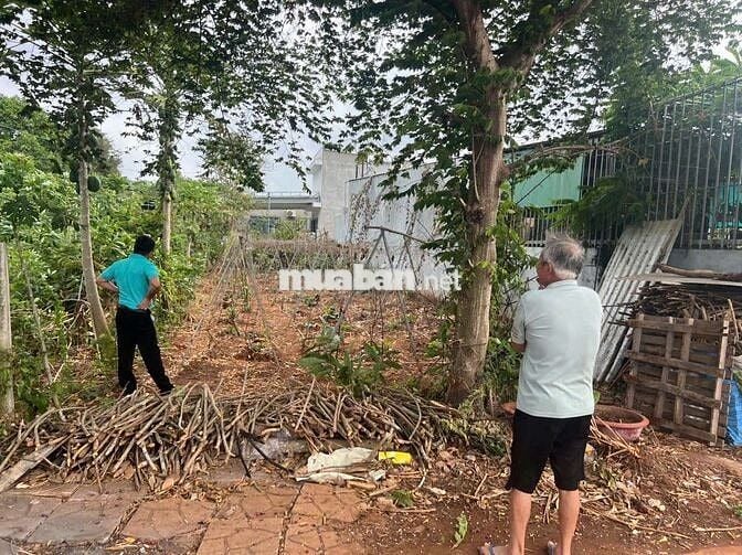 CẦN TIỀN BÁN GẤP ĐẤT LONG PHƯỚC