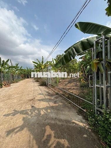Bán đất vườn trái cây ngay ngã tư dầu giây giá 900 triệu 1 sào
