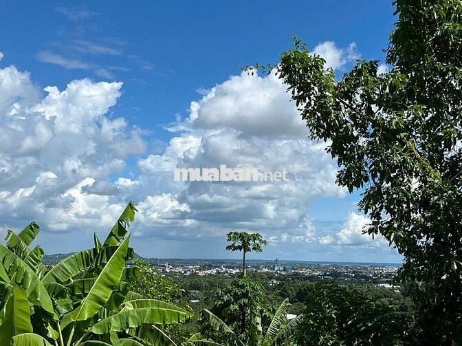 Bán đất vườn trái cây ngay ngã tư dầu giây giá 900 triệu 1 sào