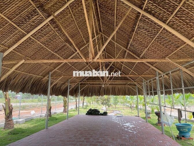 BÁN GẤP 250m² ĐẤT NỀN MẶT TIỀN LỚN LIỀN KỀ KCN DẦU TIẾNG