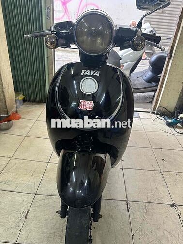 Taya smile 50cc 2019 Máy ngon .BSTP Cavet đầy đủ