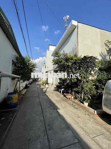 ĐẸP NHƯ HOA HẬU Ở BHH B, B.TÂN, 60M2X5 TẦNG, SHR HXH, 4 ĐỒNG